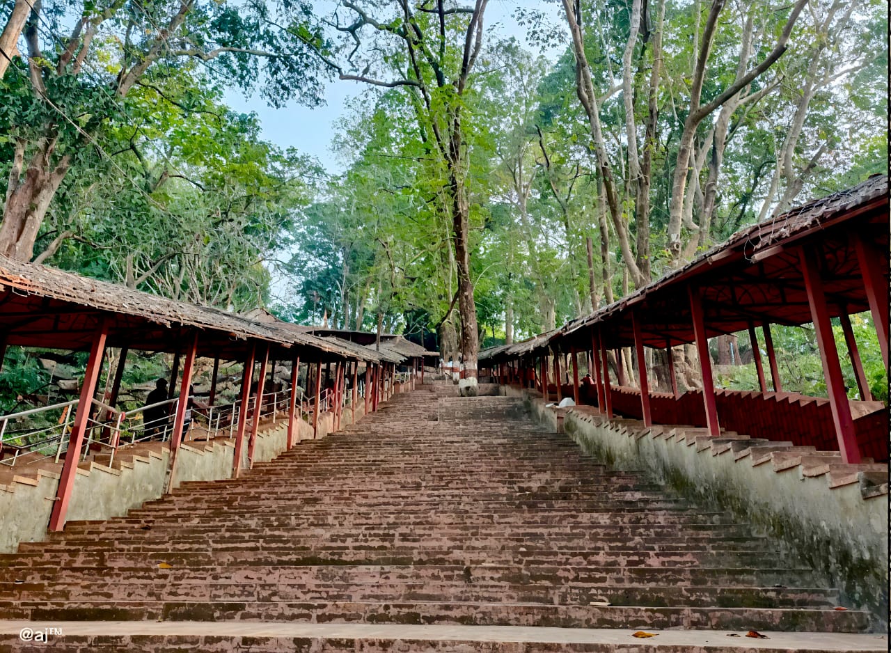 Eco Stay Accommodation